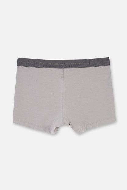 Gri 5210 3'lü Düz Pamuk Boxer