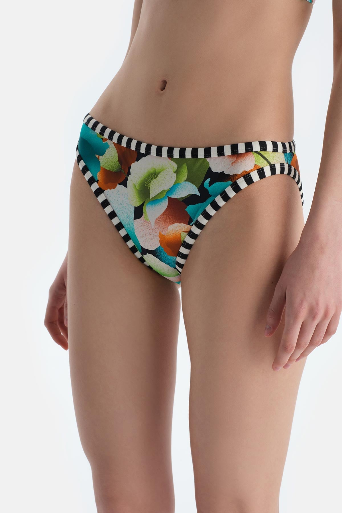Multicolor Normal Bikini Alt