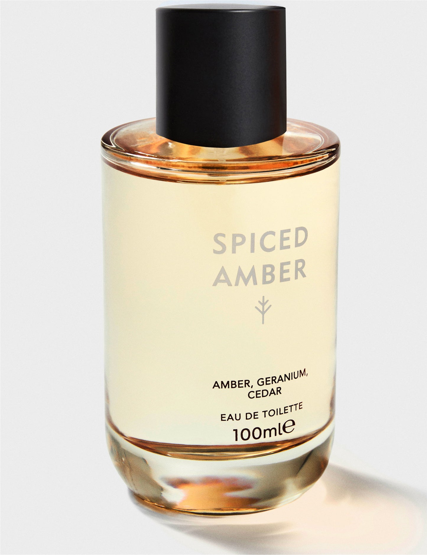 Spiced Amber Eau De Toilette Kadın 100 Ml