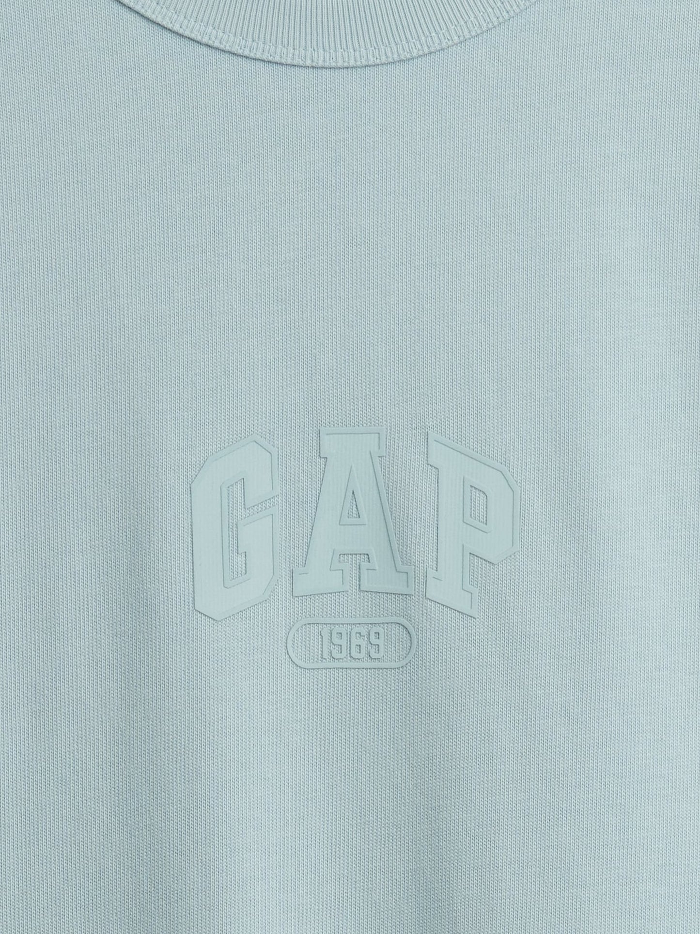 Açık Mavi Heavyweight Relaxed 1969 Logo Crop T-shirt