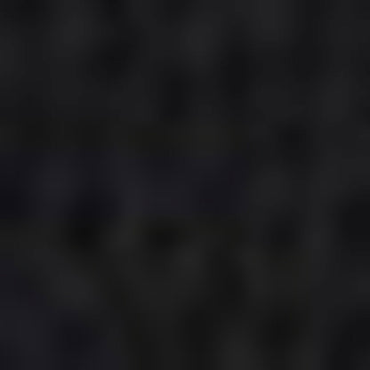 Nautica Erkek Siyah Classic Fit Sweatshirt