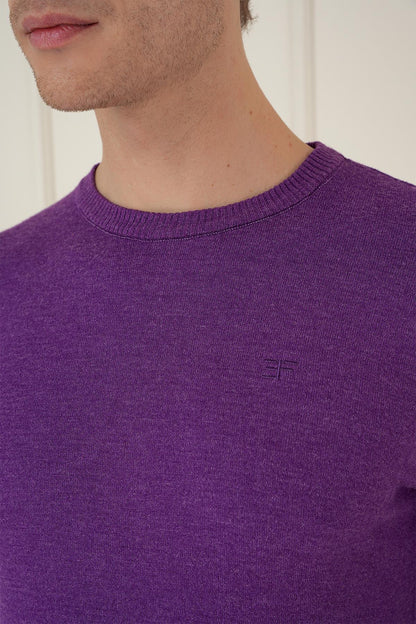 Tr 875 Slim Fit Mor Klasik Triko