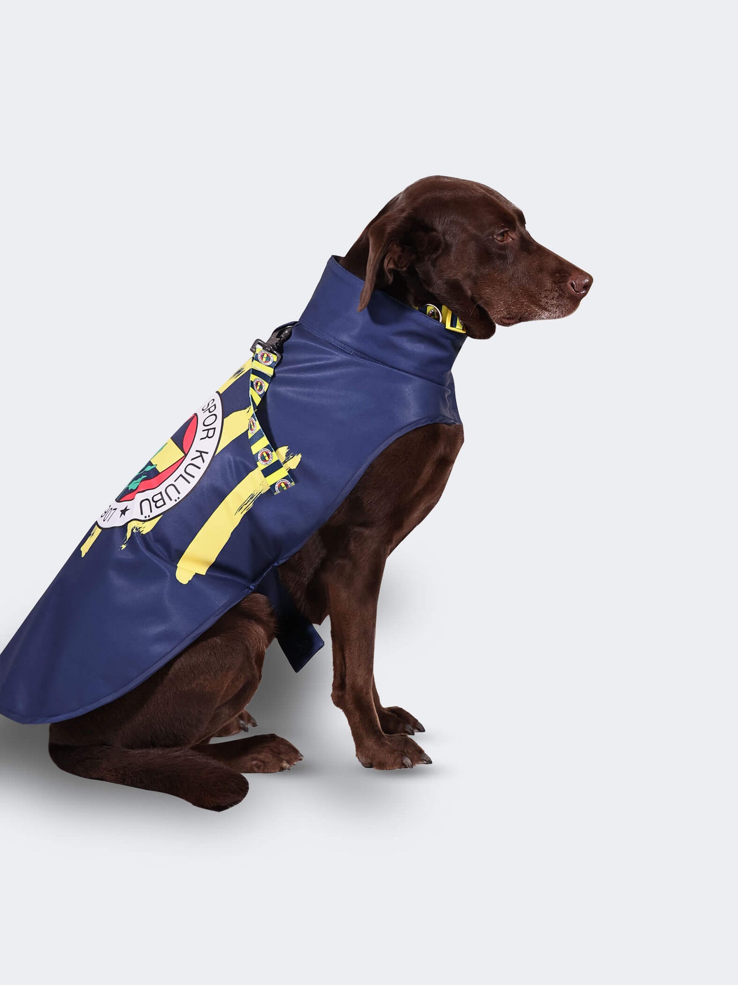 Fenerbahçe Lacivert Logo Pet Yağmurluk L-xl