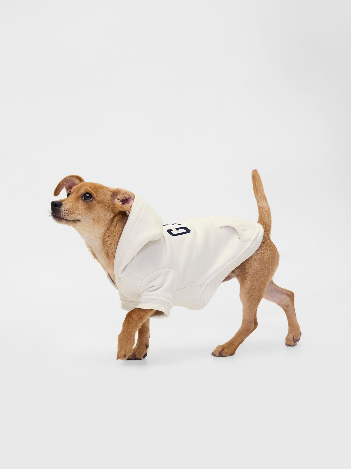 Beyaz Gap Logo Köpek Kıyafeti