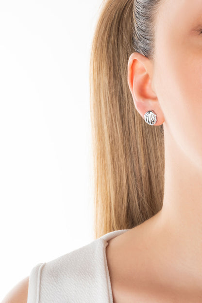 Deniz Kabuğu 18 Ayar Beyaz Altın Kaplama Gümüş Miinimal Küpe 5175800199