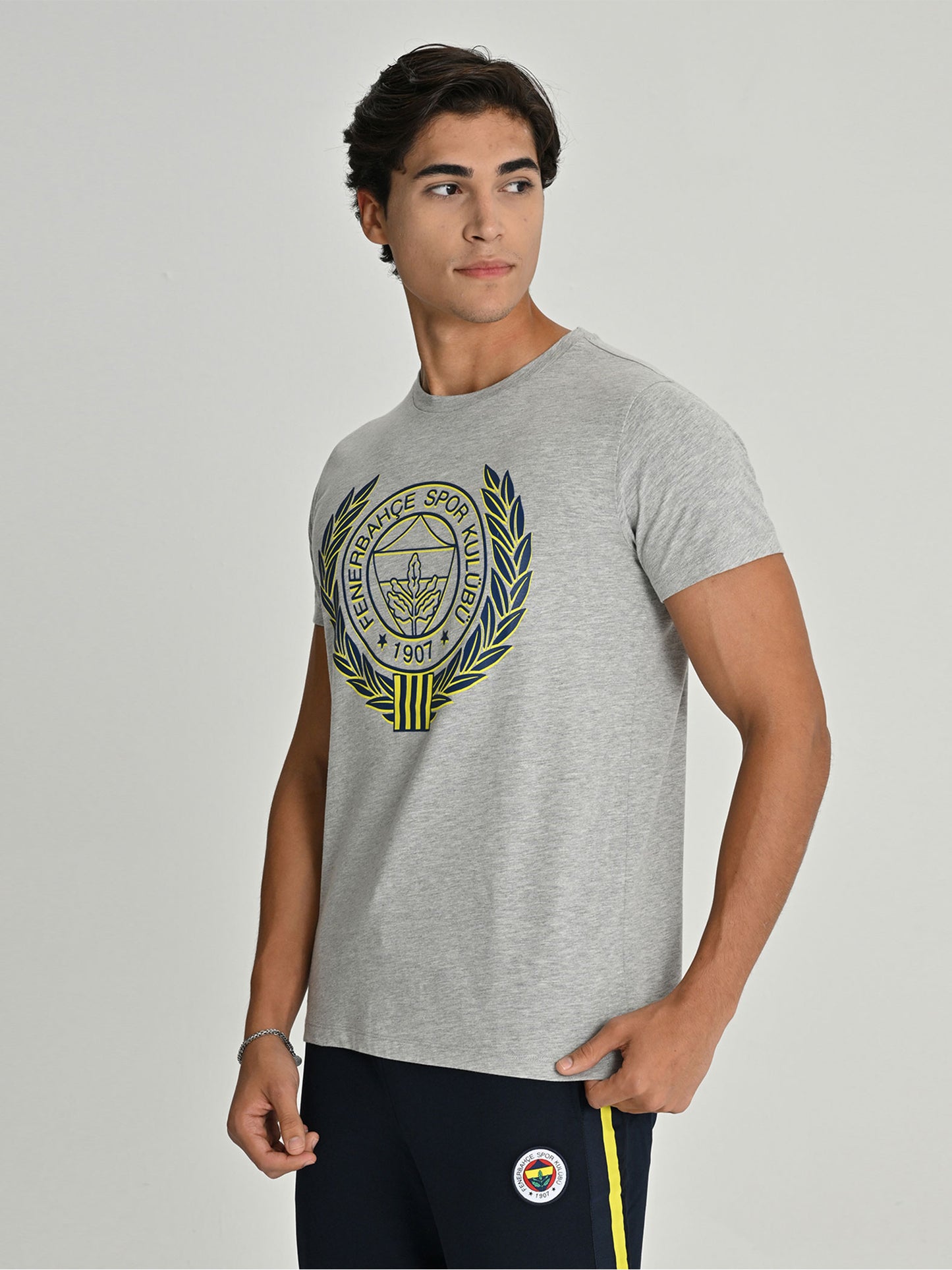 Fenerbahçe Gri Melanj Kolej Sarı Lacivert Logolu Erkek Tshirt