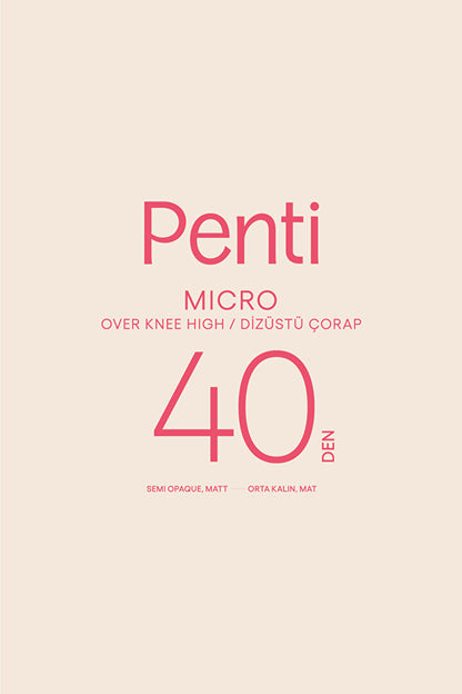 Micro 40 Siyah Çorap