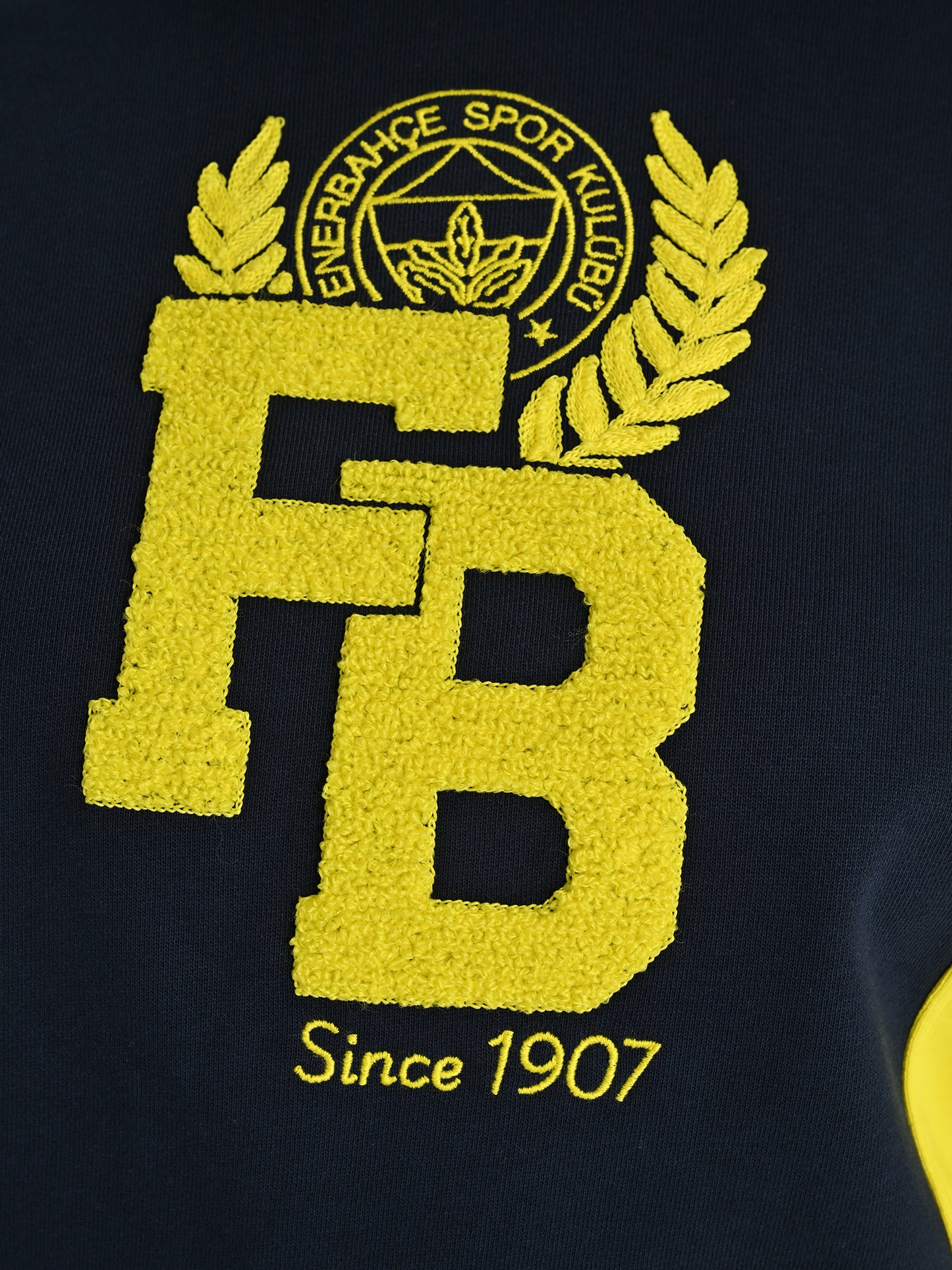 Fenerbahçe Sarı Lacivert Kolej Fb Since 1907 Kadın Sweatshirt