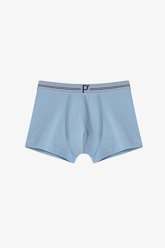 Erkek Çocuk Mavi Tonlu 3lü Boxer