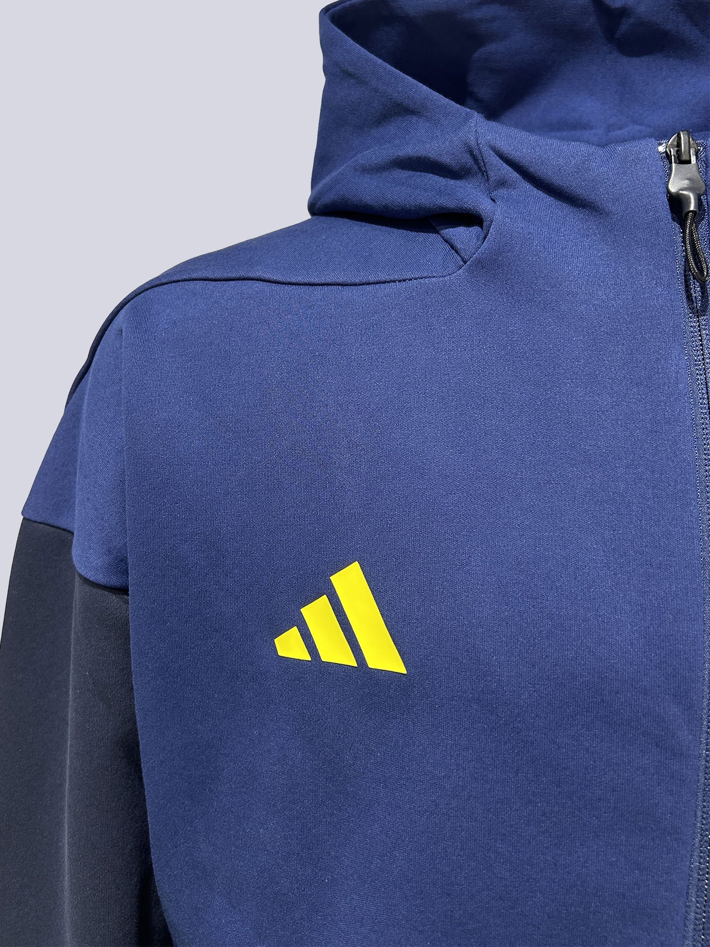 Fenerbahçe 2025/26 A Takım Kapüşonlu Full Zip Sweatshirt