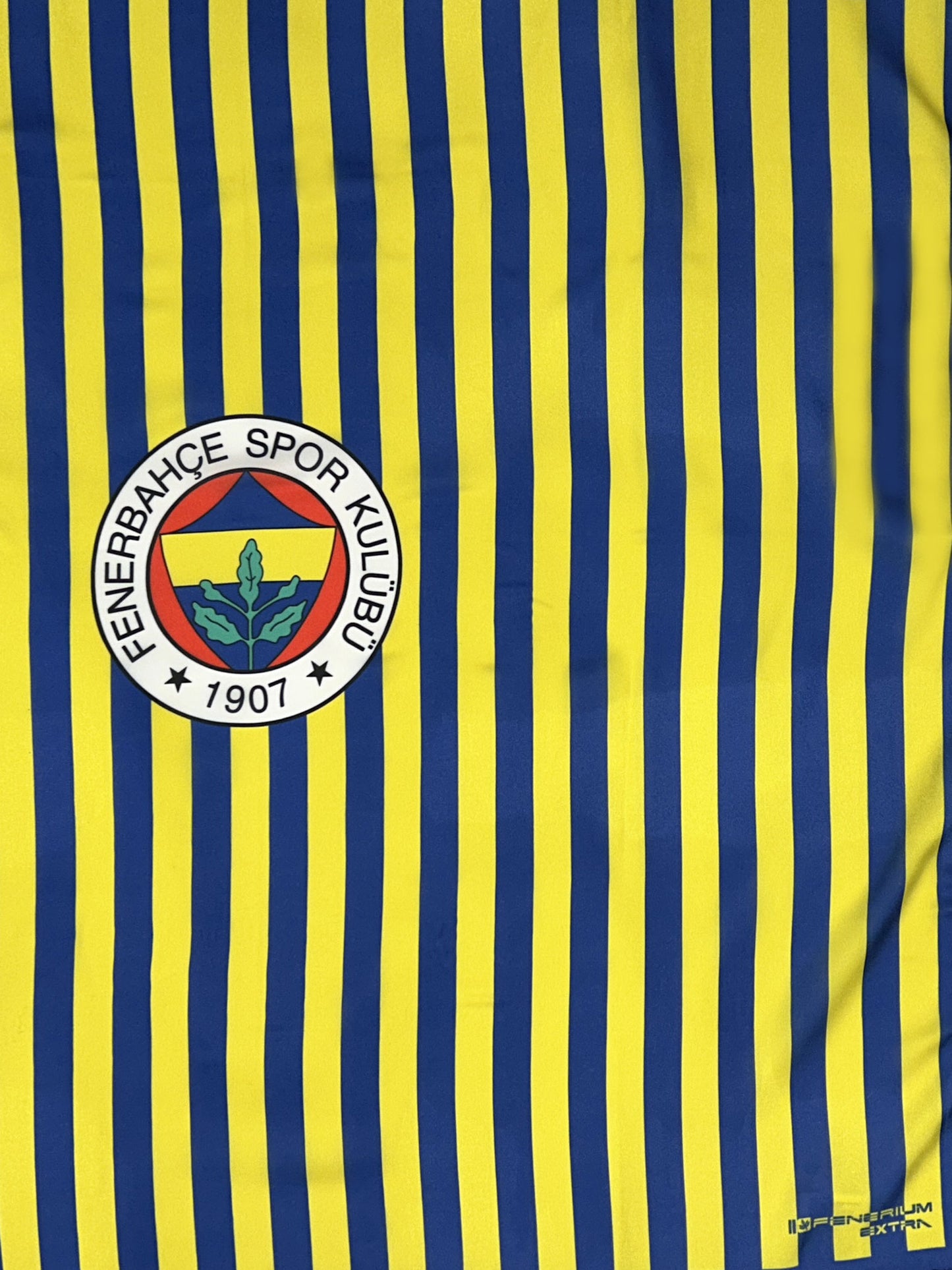 Fenerbahçe Çubuklu Unisex Fular