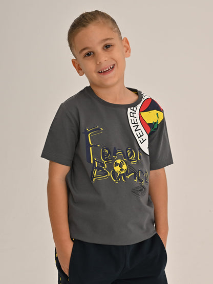 Fenerbahçe Gri Tribün Logolu Çocuk Tshirt