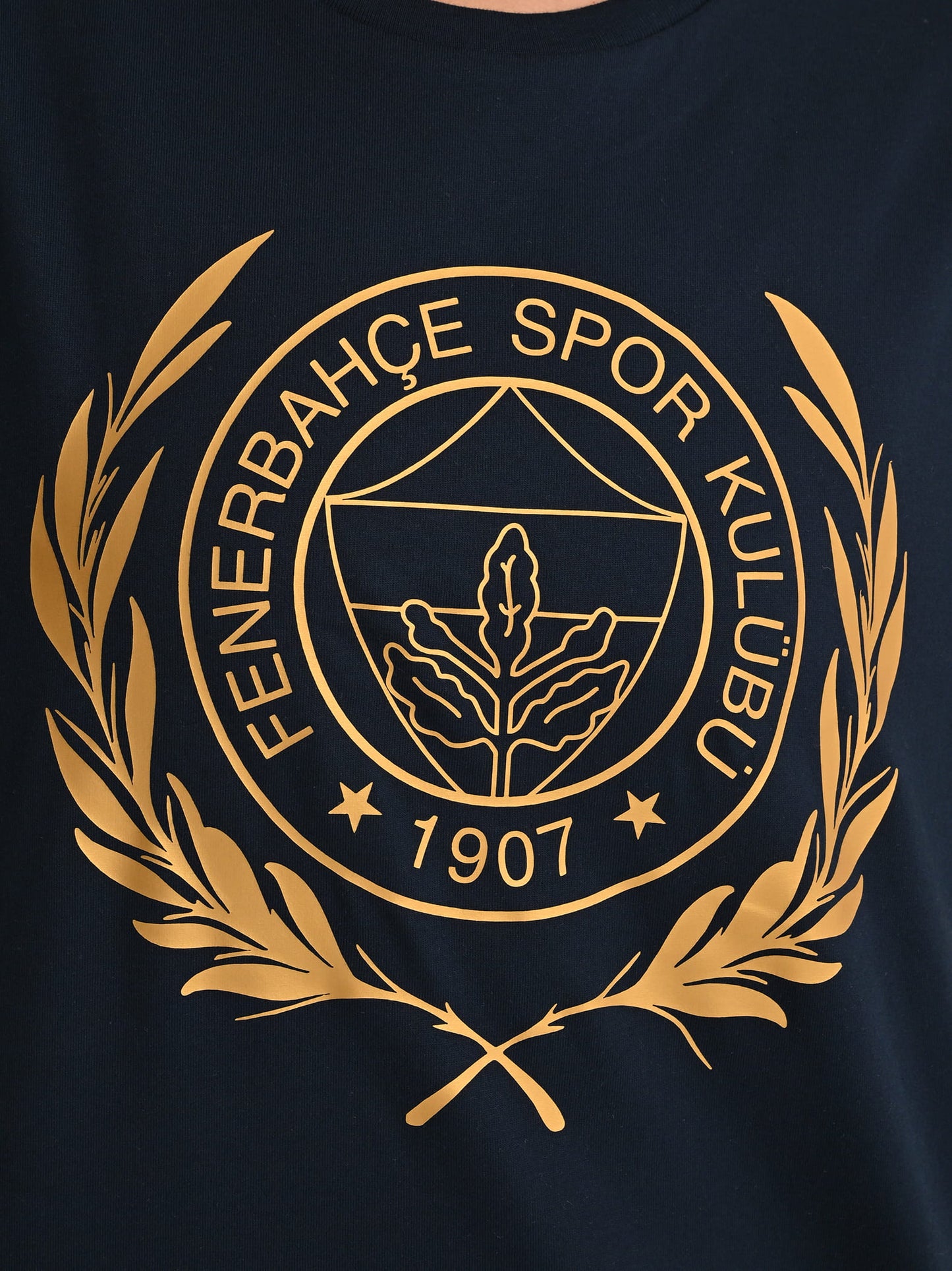 Fenerbahçe Lacivert Kolej Gold Çelenk Kadın Tshirt