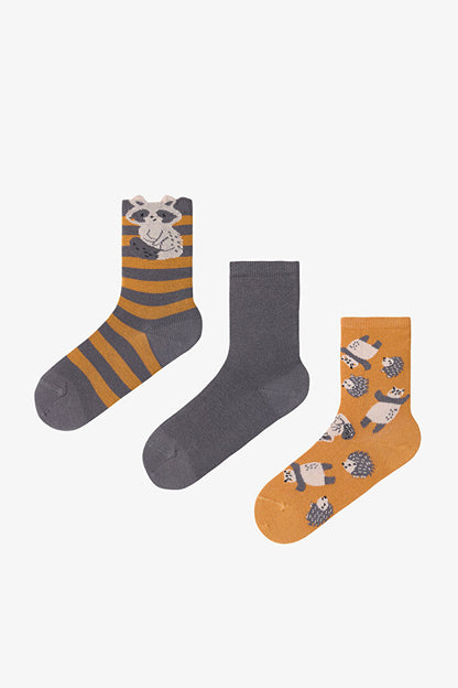 Çok Renkli Erkek Çocuk Animals 3lü Soket Çorap