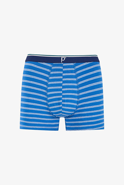 Erkek Renkli Blue Check Çoklu Boxer