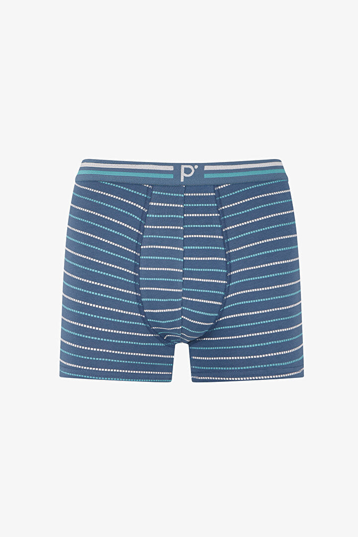 Erkek Renkli Blue Basic Çoklu Boxer