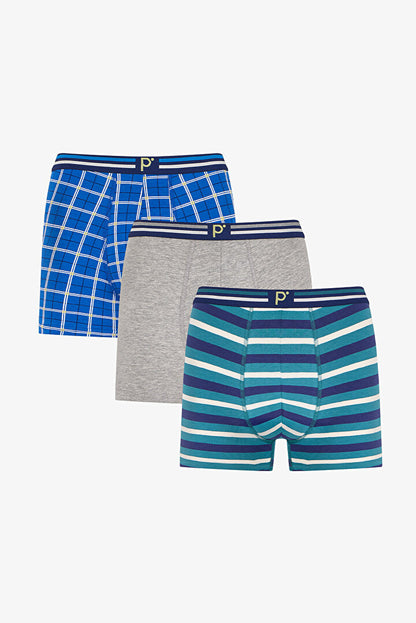 Erkek Renkli Chill Grid Çoklu Boxer