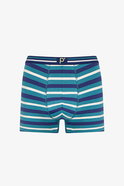 Erkek Renkli Chill Grid Çoklu Boxer