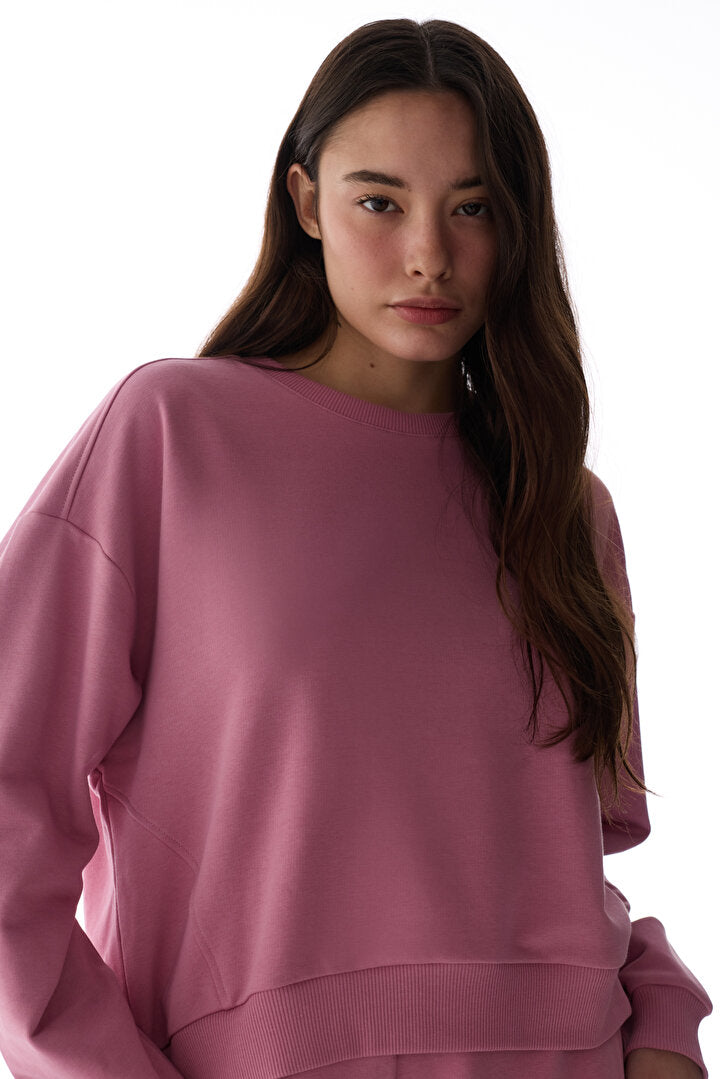 Gül Kurusu Dikiş Detaylı Bisiklet Yaka Pamuklu Sweatshirt