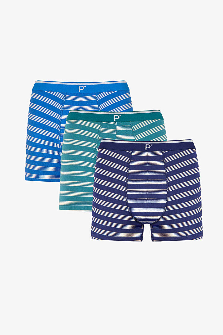 Erkek Renkli Blue Çizgili Çoklu Boxer