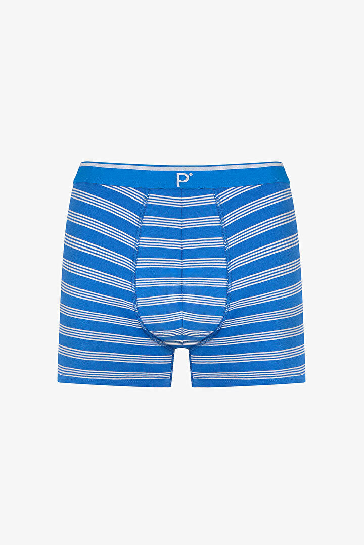 Erkek Renkli Blue Çizgili Çoklu Boxer