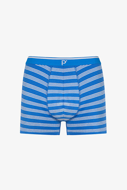 Erkek Renkli Blue Çizgili Çoklu Boxer