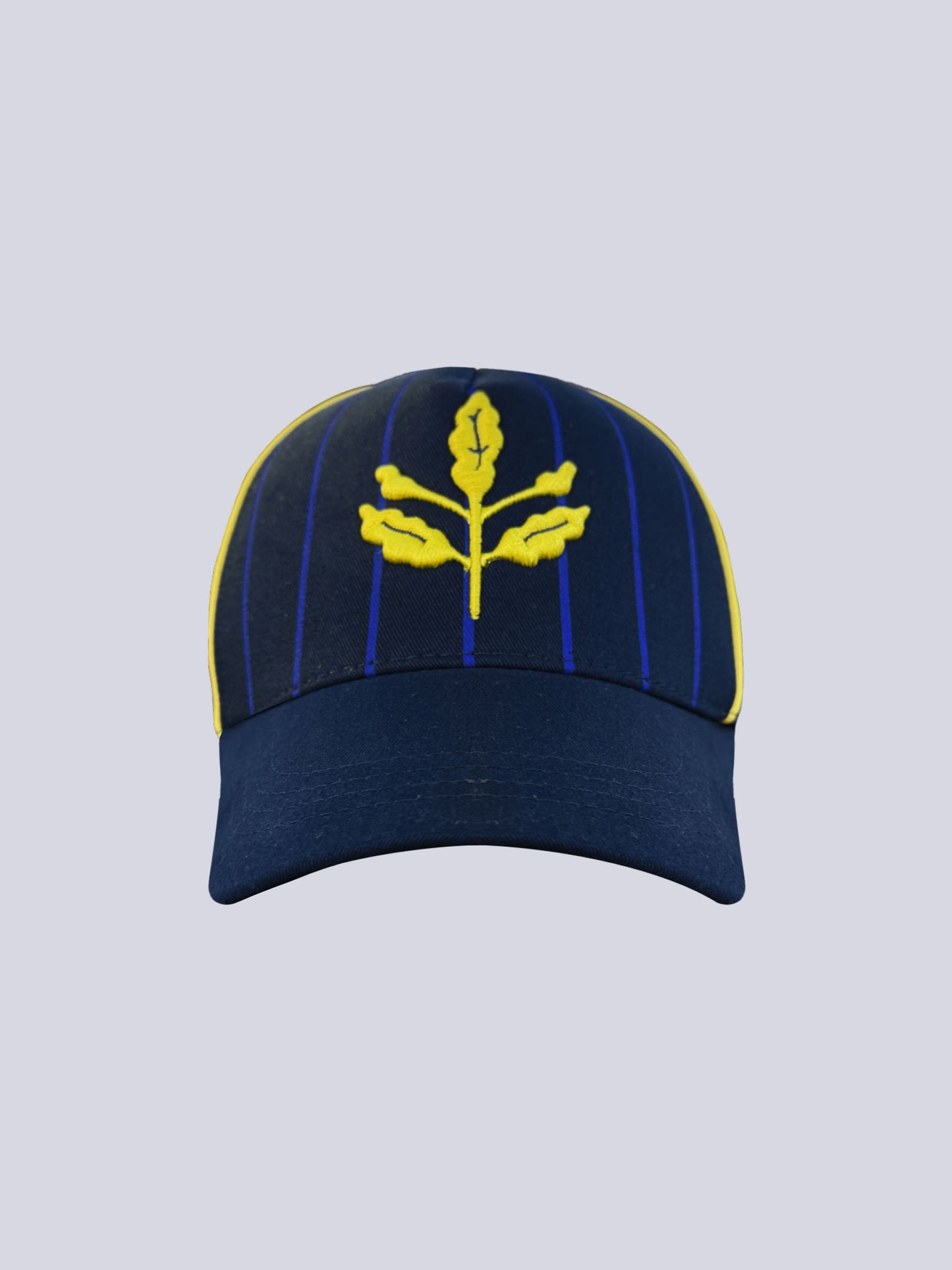 Fenerbahçe Lacivert Çizgili Unisex Şapka