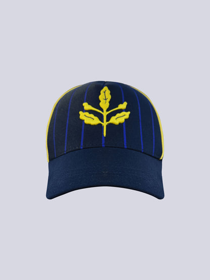 Fenerbahçe Lacivert Çizgili Unisex Şapka