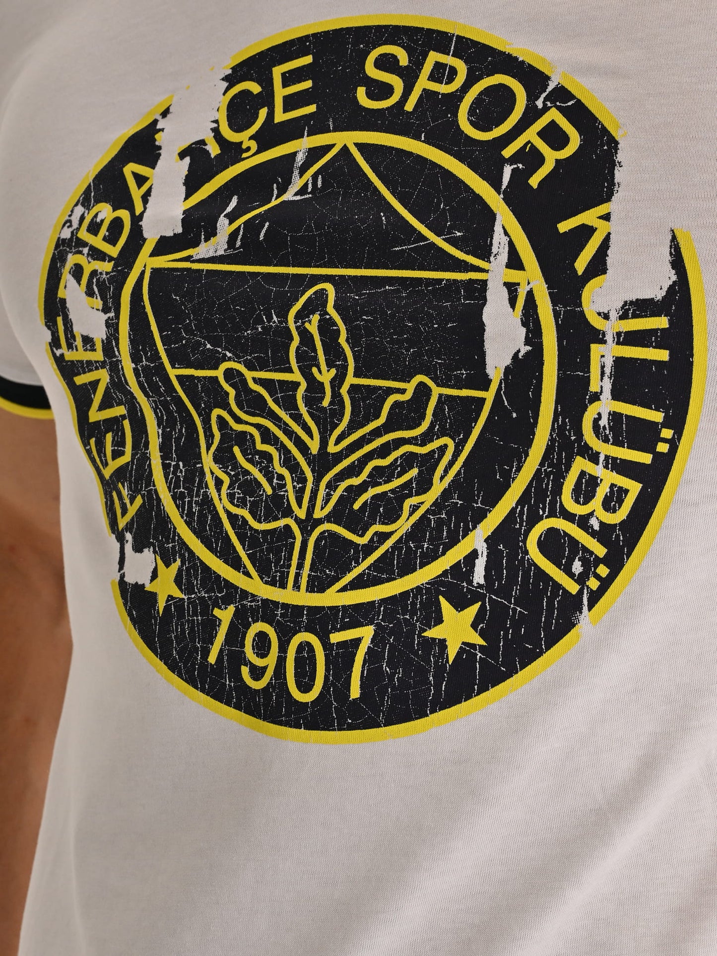 Fenerbahçe Beyaz Tribün Tek Renk Logolu Erkek Tshirt