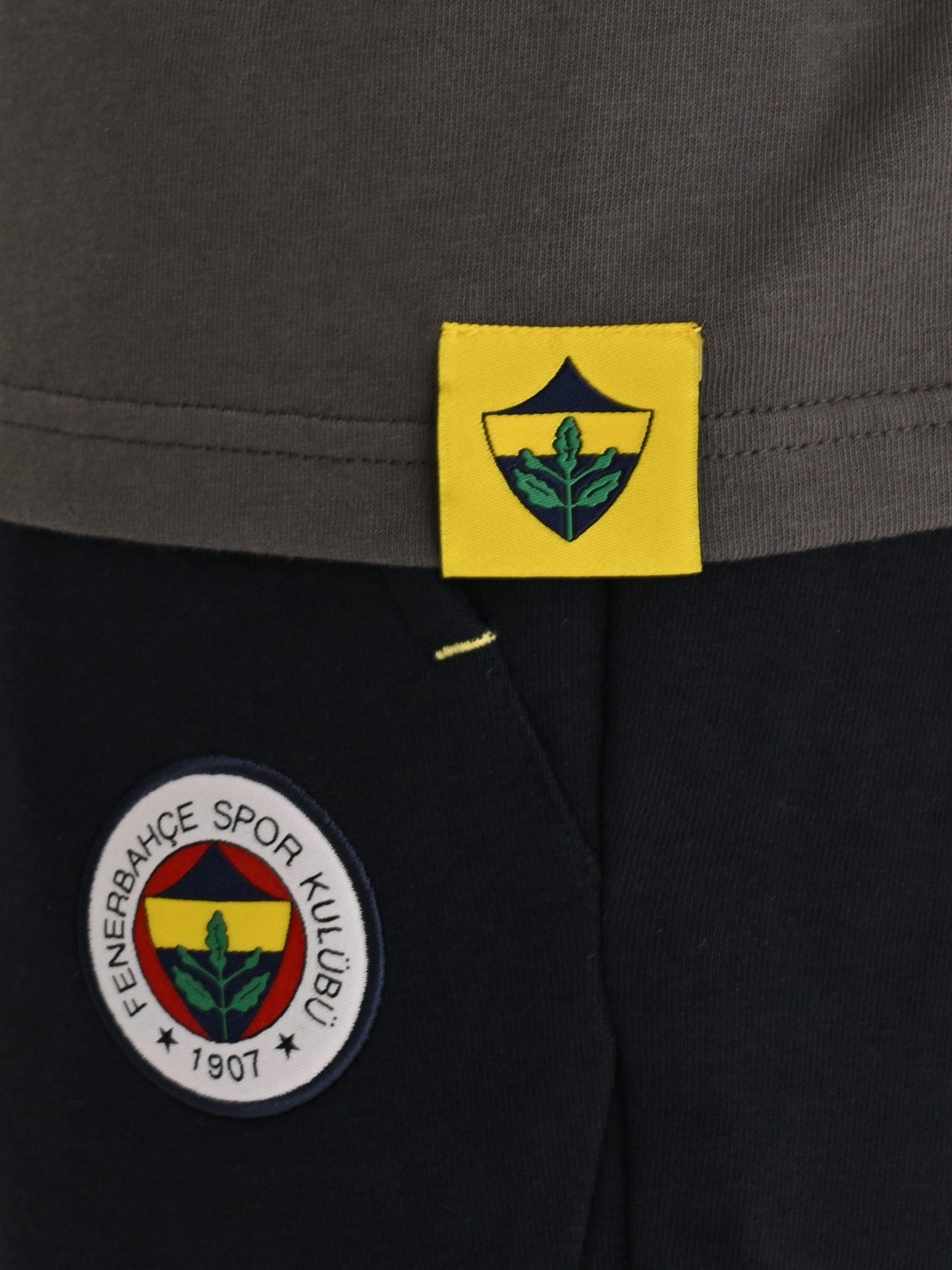 Fenerbahçe Gri Tribün Çubuklu Arma Erkek Oversize Tshirt