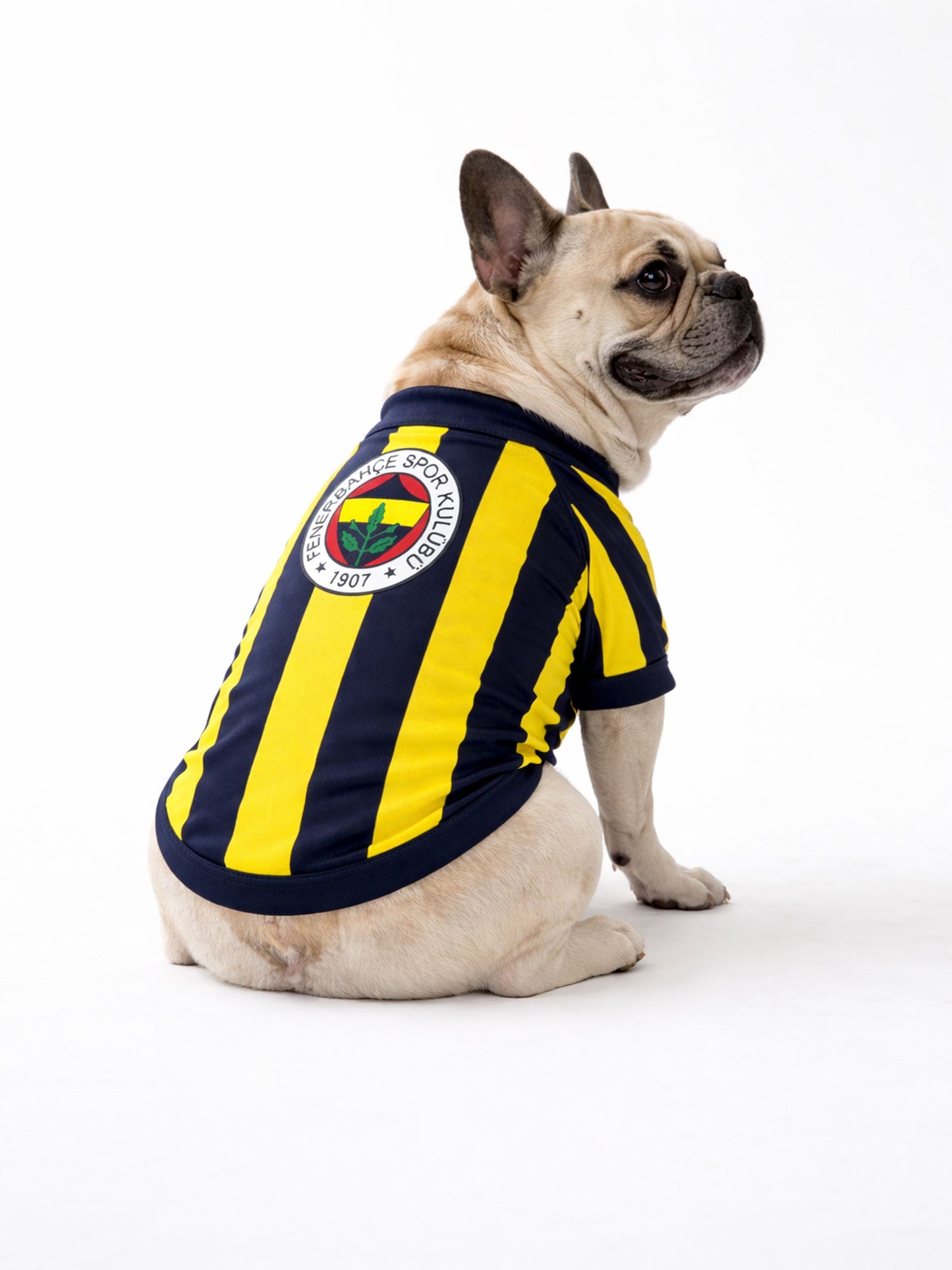 Fenerbahçe Sarı Lacivert Pet Tshirt