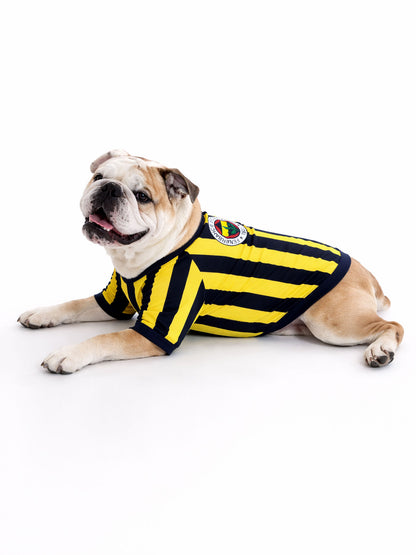 Fenerbahçe Sarı Lacivert Pet Tshirt