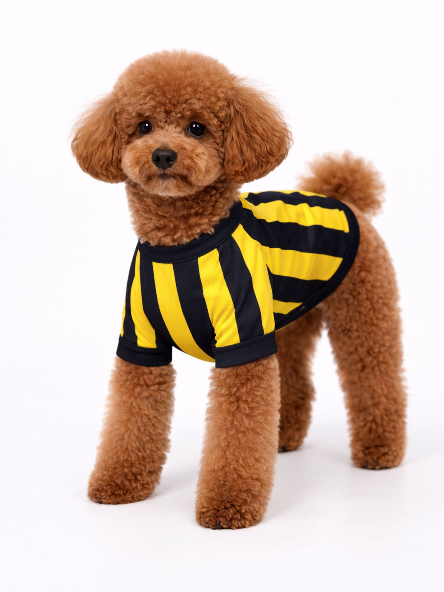 Fenerbahçe Sarı Lacivert Pet Tshirt
