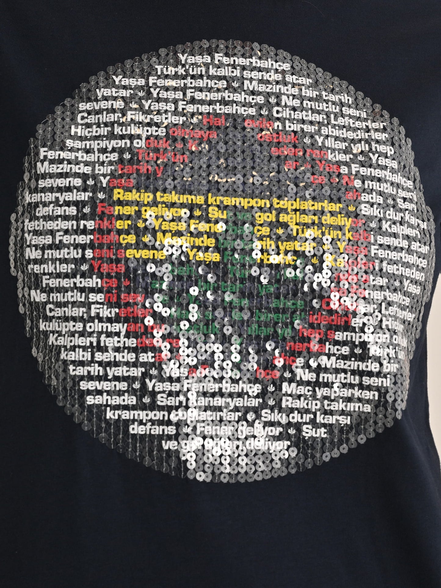 Fenerbahçe Lacivert Tribün Marş Logo Kadın Tshirt