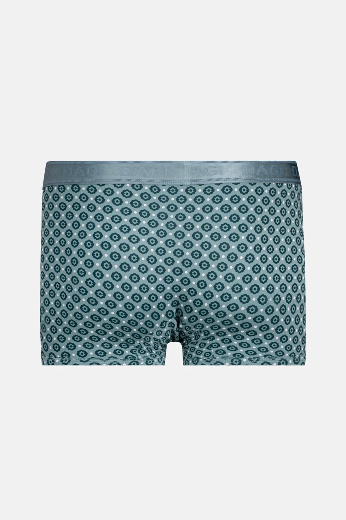 Su Yeşili 4210 Desenli Micro Modal Boxer