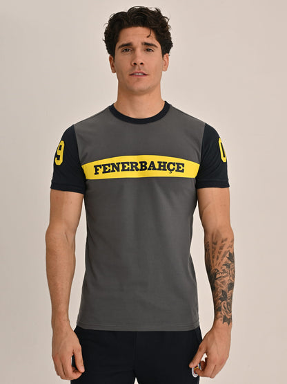 Fenerbahçe Gri Kolej 1907 Fb Erkek Tshirt