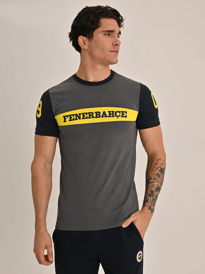 Fenerbahçe Gri Kolej 1907 Fb Erkek Tshirt