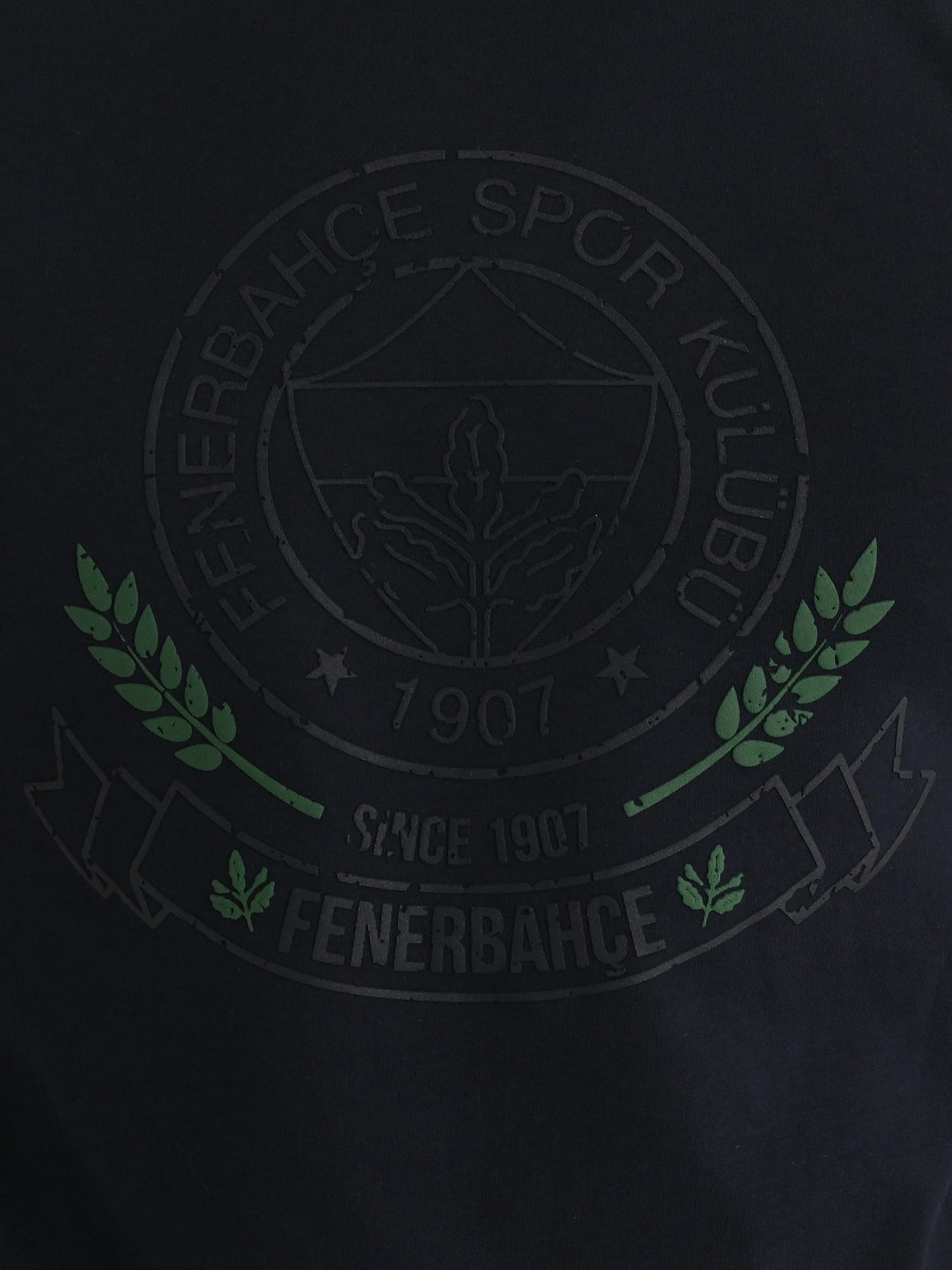 Fenerbahçe Lacivert Kolej Since 1907 Erkek Tshirt