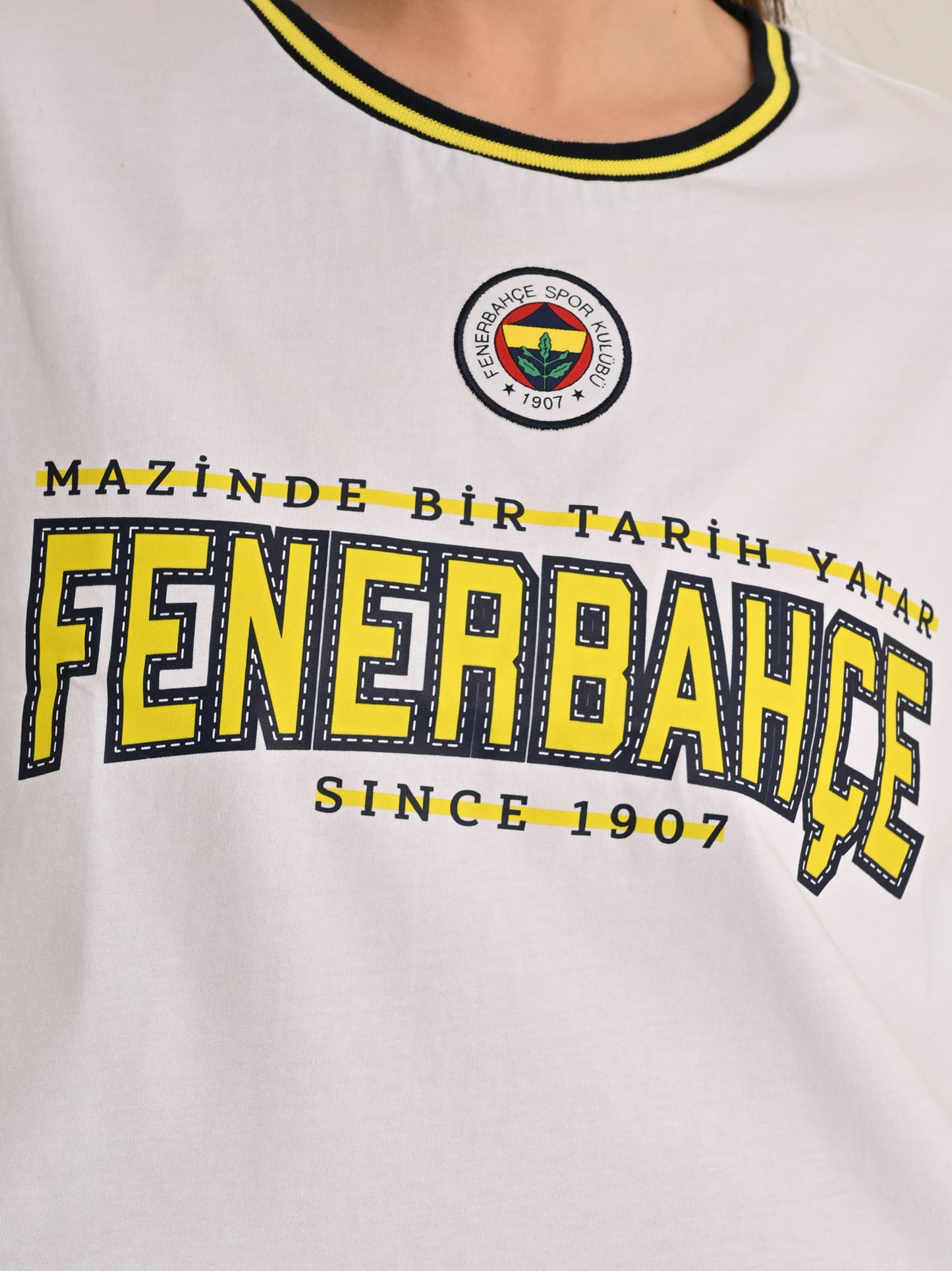 Fenerbahçe Beyaz Tribün Mazinde Bir Tarih Yatar Kadın Oversize Crop Tshirt
