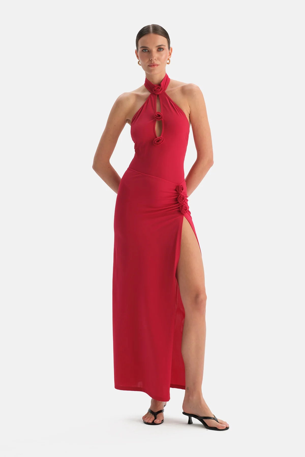 Halter Mayo