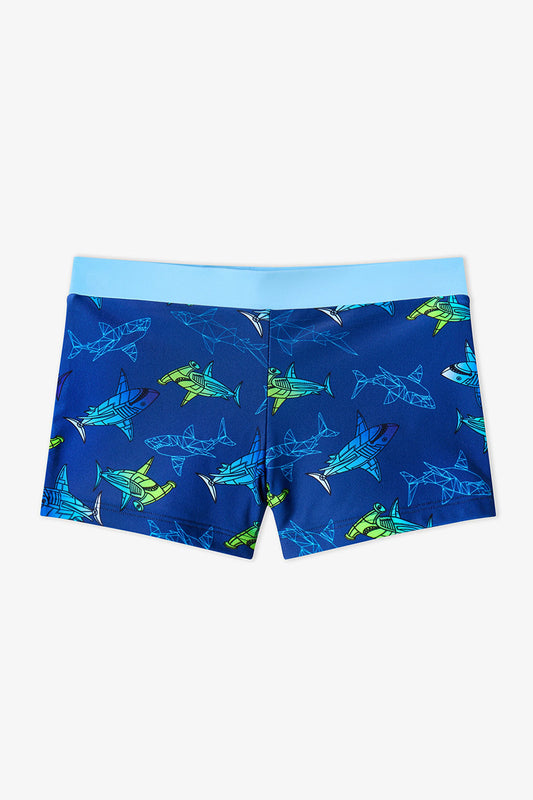 Renkli Erkek Çocuk Gradient Shark Trunk Mayo