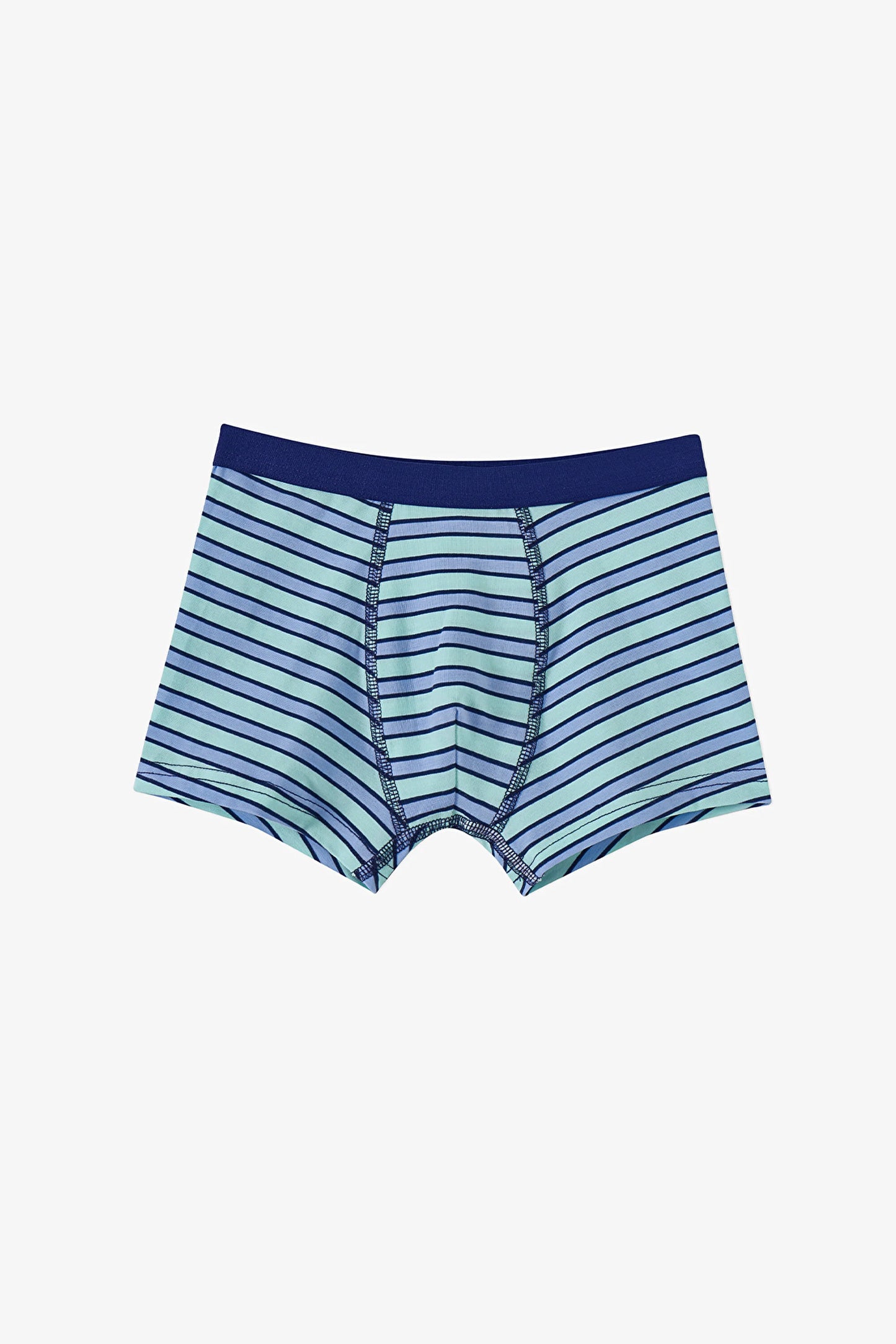 Mavi Erkek Çocuk Fishy Friends 3'lü Boxer
