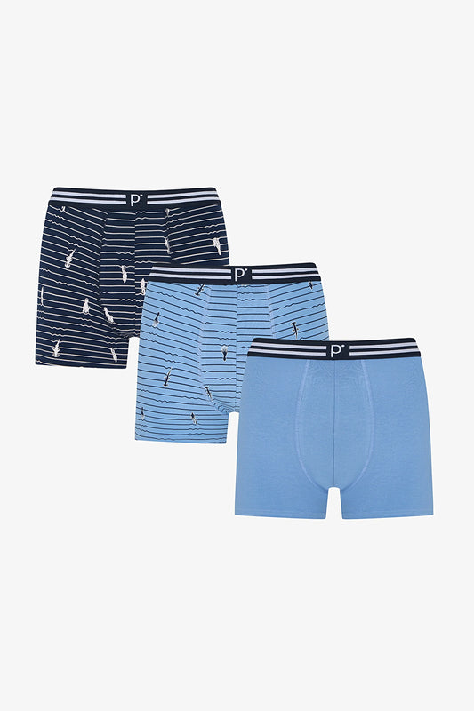 Erkek Renkli Wild Sea Çoklu Boxer