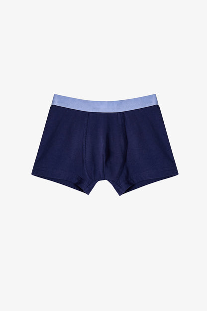 Mavi Erkek Çocuk Çizgili Crab 3'lü Boxer