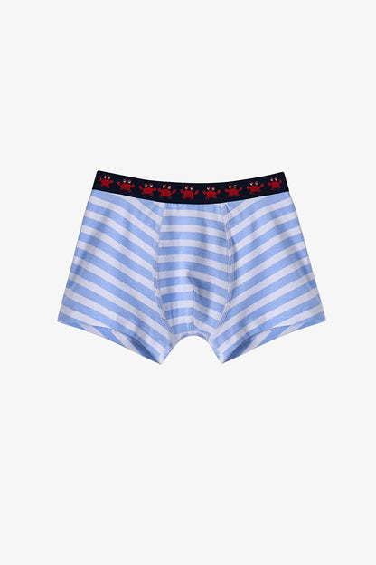 Mavi Erkek Çocuk Çizgili Crab 3'lü Boxer