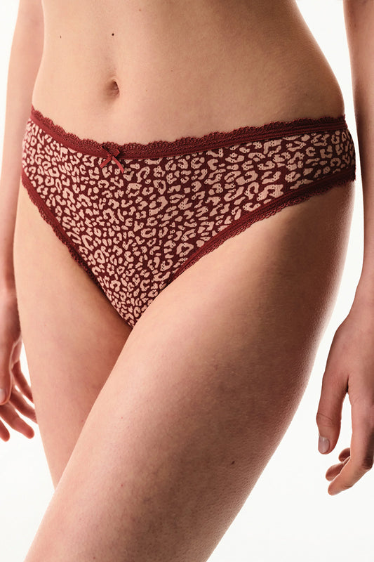 Bordo Pointel Brazilian Külot