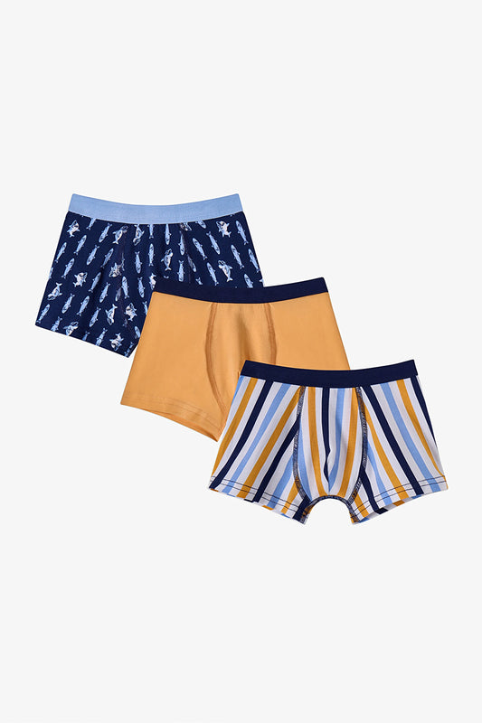 Renkli Erkek Çocuk Sardines 3'lü Boxer