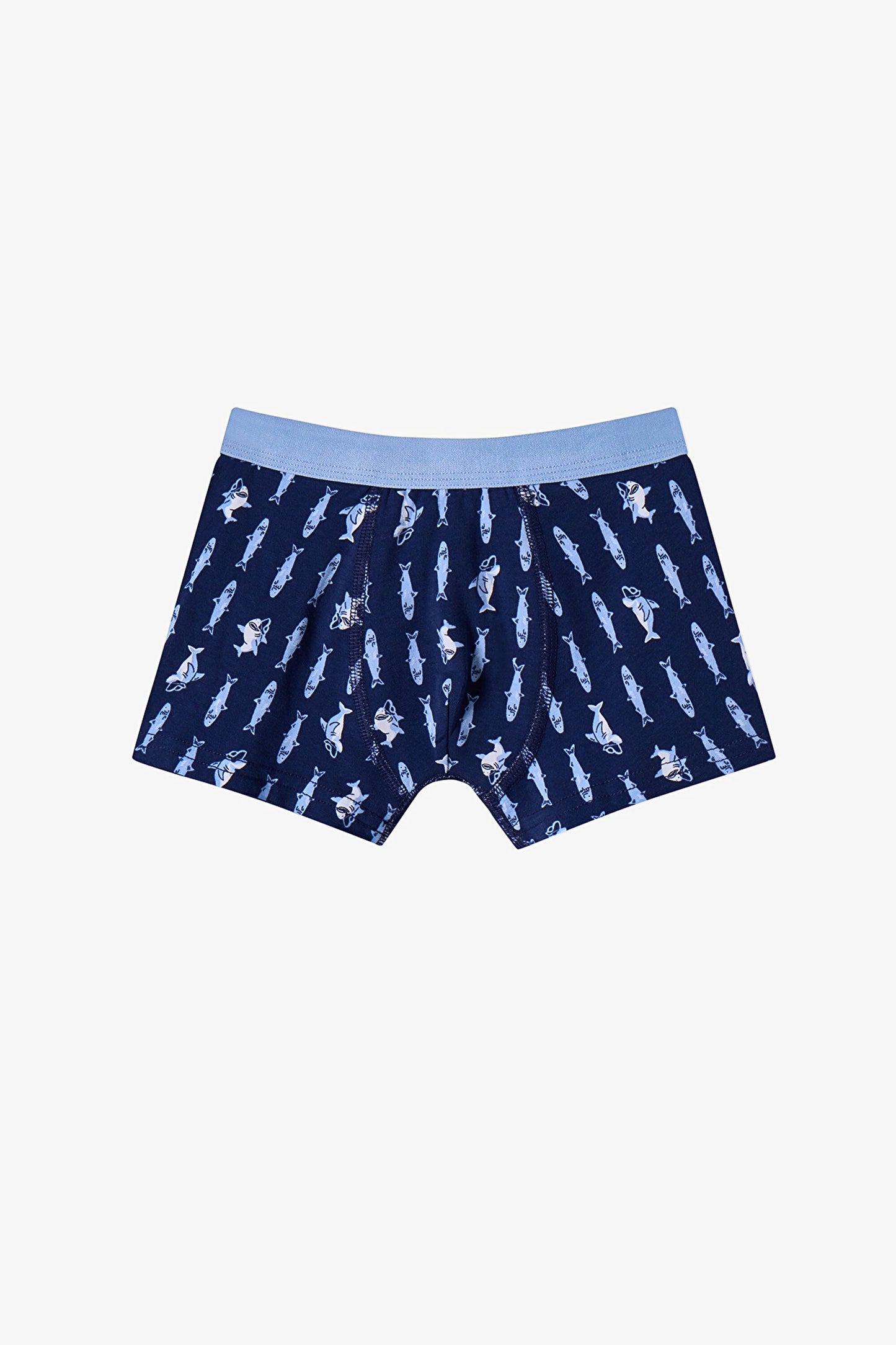 Renkli Erkek Çocuk Sardines 3'lü Boxer