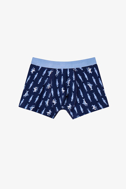 Renkli Erkek Çocuk Sardines 3'lü Boxer