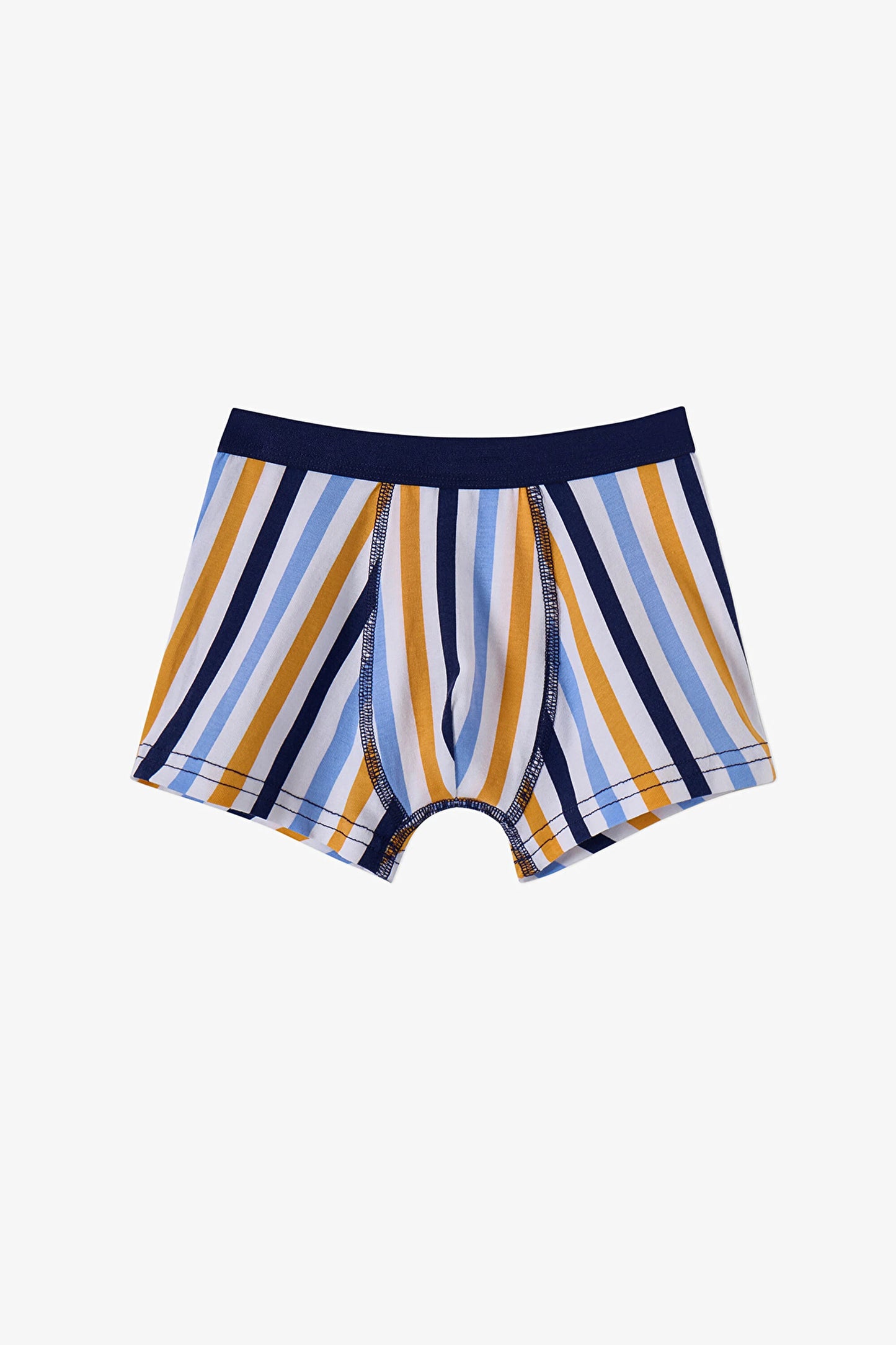 Renkli Erkek Çocuk Sardines 3'lü Boxer